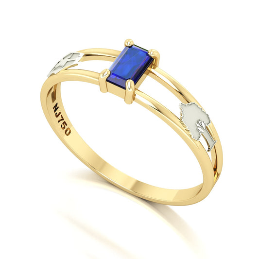 Anel de Formatura de Engenharia Ambiental Nexus Ouro 18k