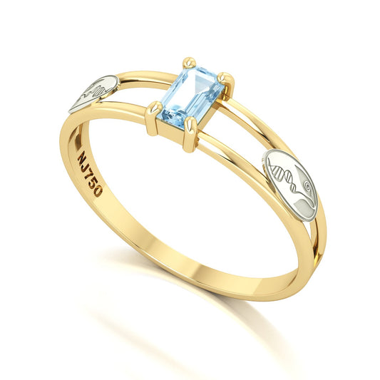 Anel de Formatura de Biologia Nexus Ouro 18k