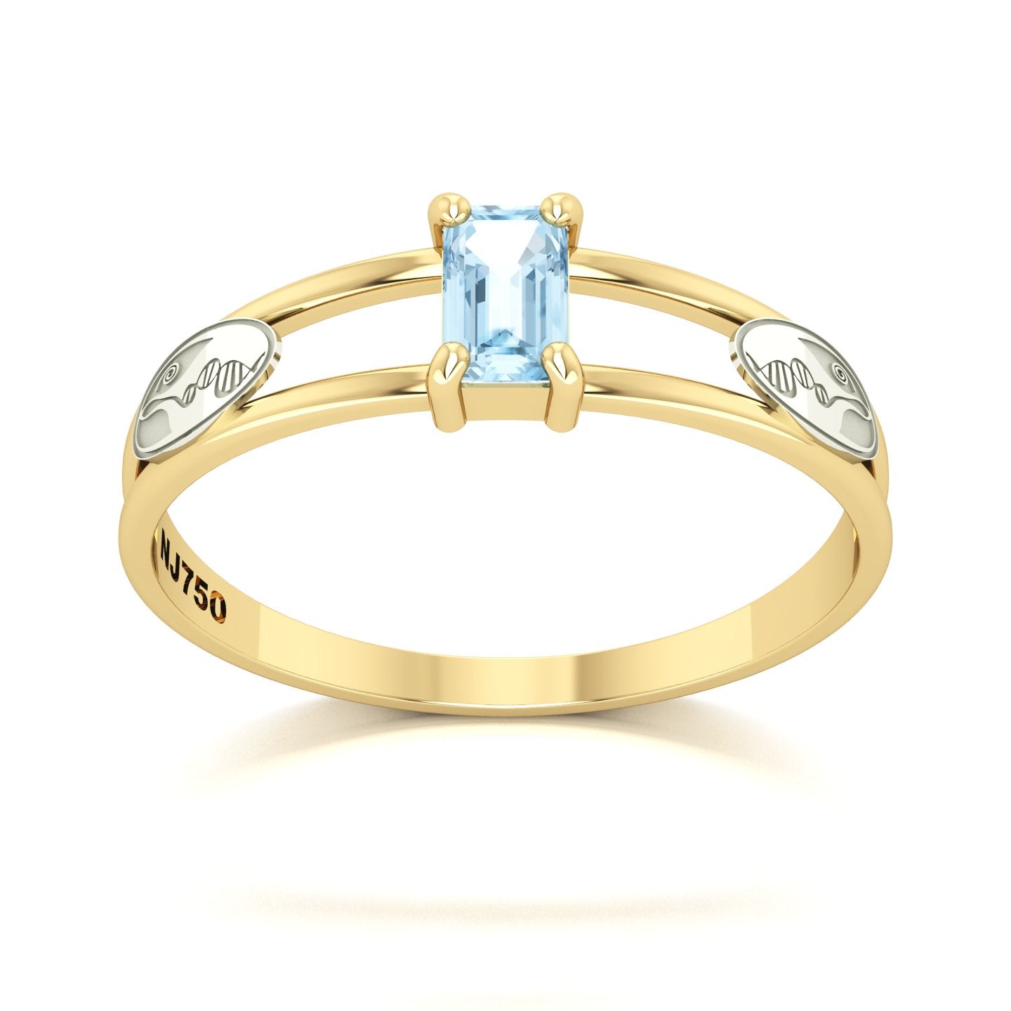 Anel de Formatura de Biologia Nexus Ouro 18k