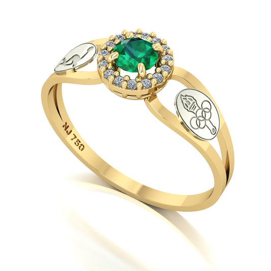 Anel de Formatura de Ed. Física Shiny Ouro 18k