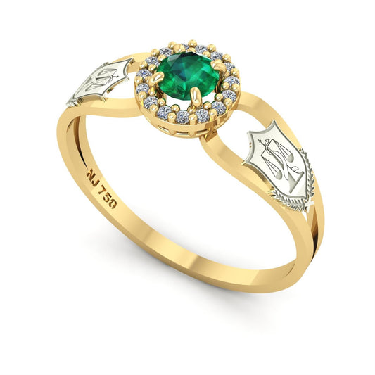 Anel de Formatura de Nutrição Shiny Ouro 18k