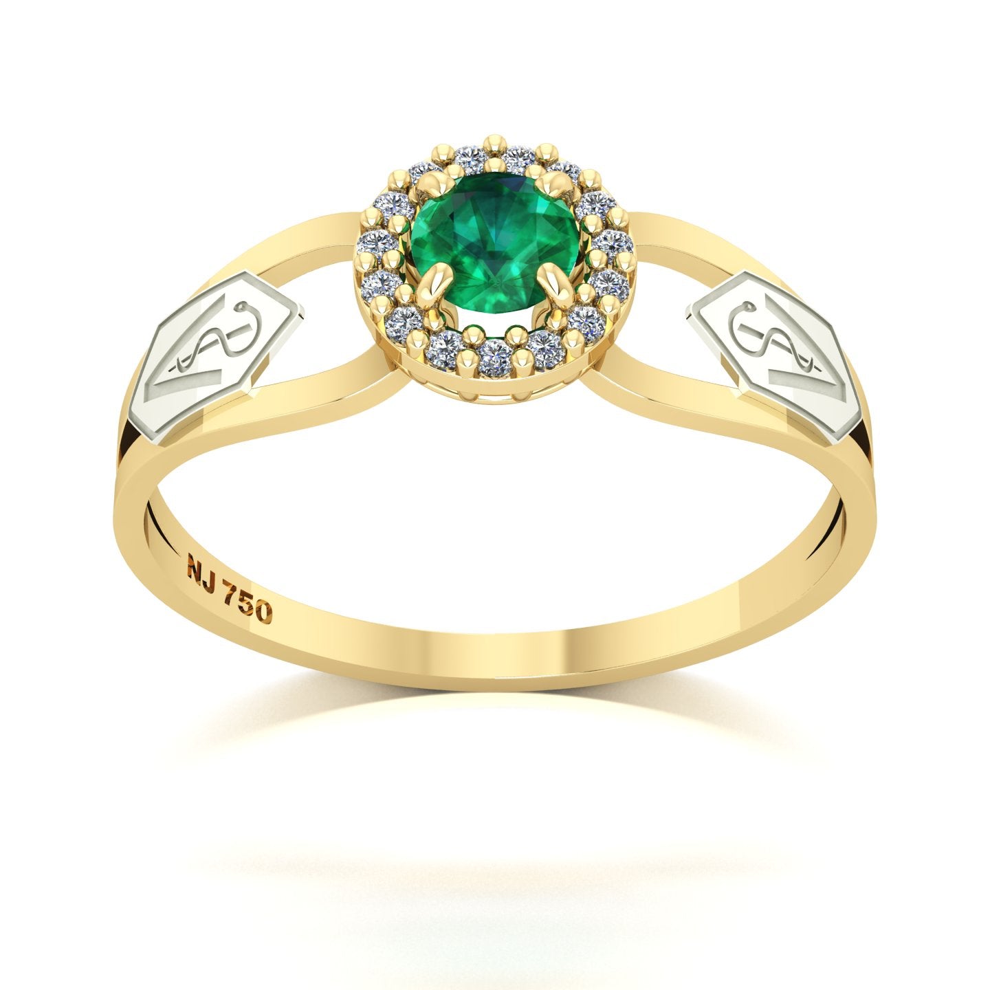 Anel de Formatura de Veterinária Shiny Ouro 18k