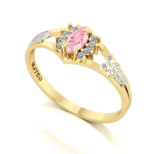 Anel de Formatura Ciências Contábeis Virtus Ouro 18k