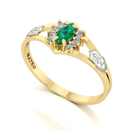 Anel de Formatura Nutrição Virtus Ouro 18k