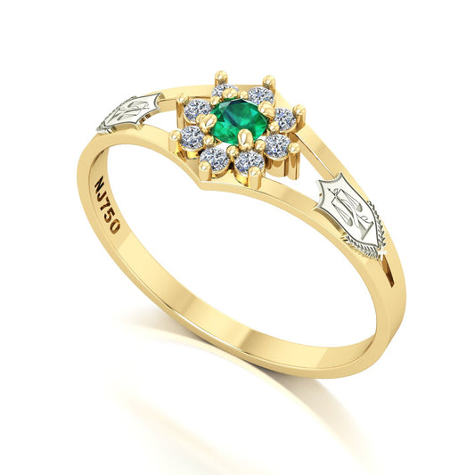 Anel de Formatura Nutrição Zenith Ouro 18k