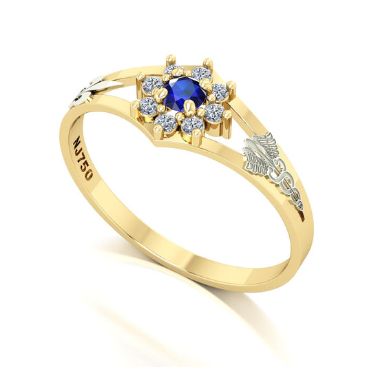 Anel de Formatura Pedagogia Zenith Ouro 18k