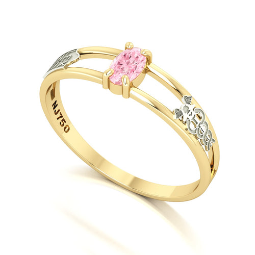 Anel de Formatura de Ciências Contábeis Nexus III Ouro 18k