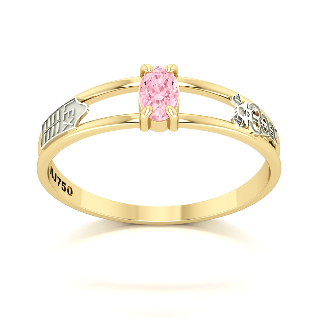 Anel de Formatura de Ciências Contábeis Nexus III Ouro 18k