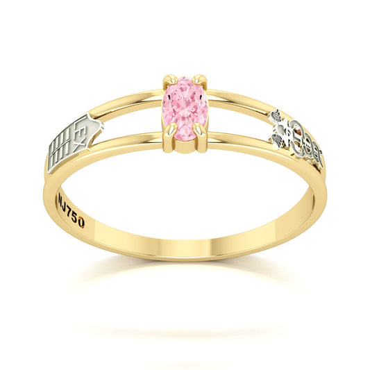 Anel de Formatura de Ciências Contábeis Nexus III Ouro 18k
