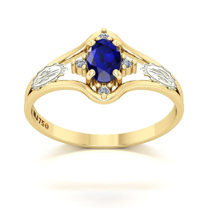 Anel de Formatura Engenharia Química Star Ouro 18k
