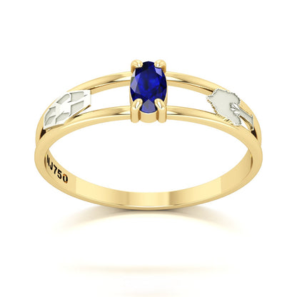 Anel de Formatura de Engenharia Ambiental Nexus III Ouro 18k