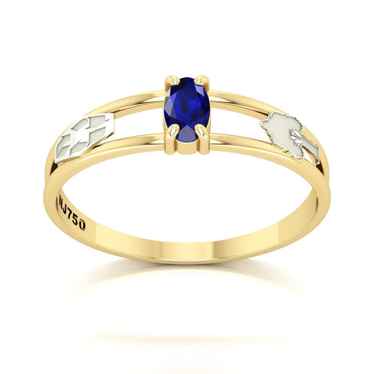 Anel de Formatura de Engenharia Ambiental Nexus III Ouro 18k