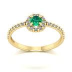 Anel de Formatura de Nutrição Zareen III Ouro 18k