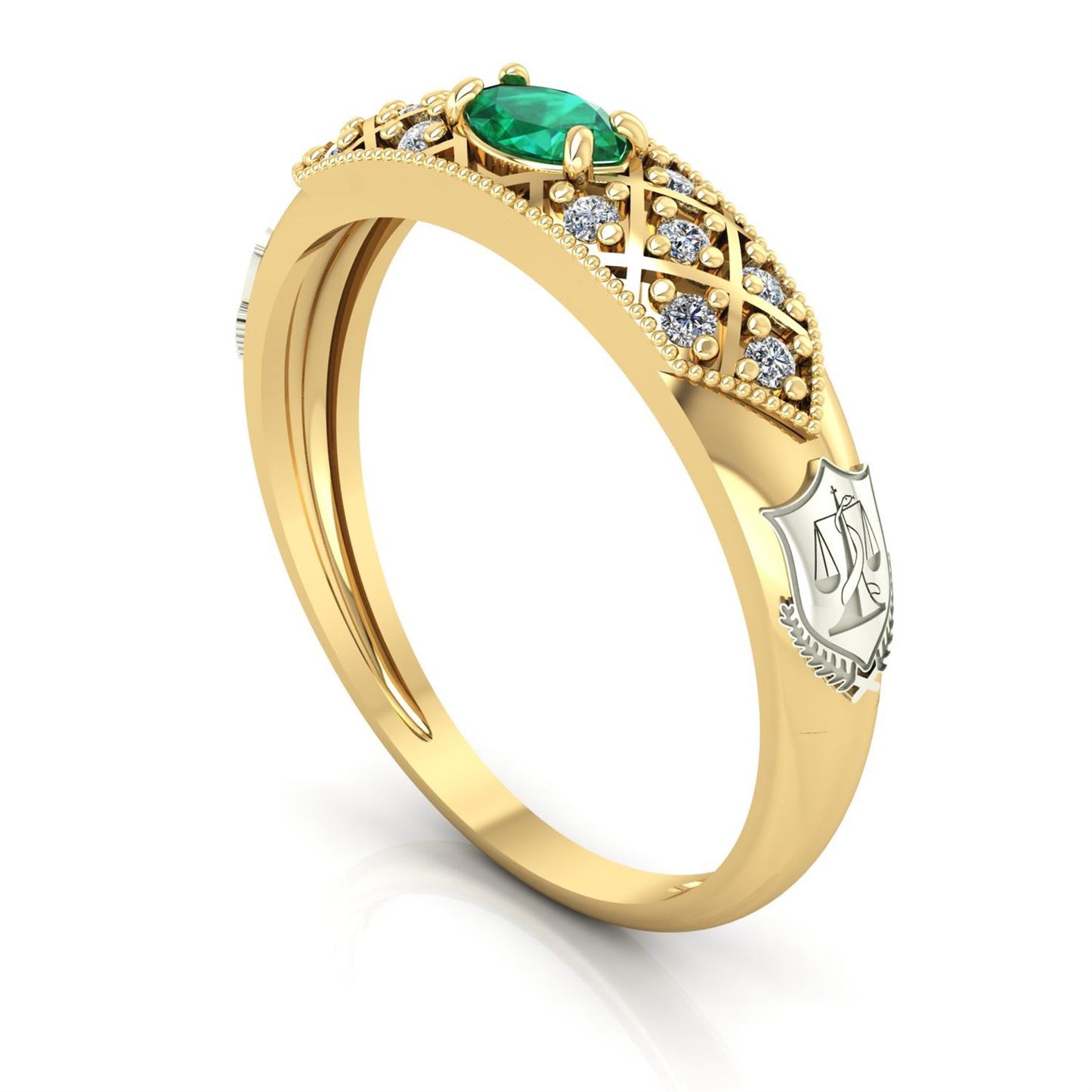 Anel de Formatura de Nutrição Classic Ouro 18k