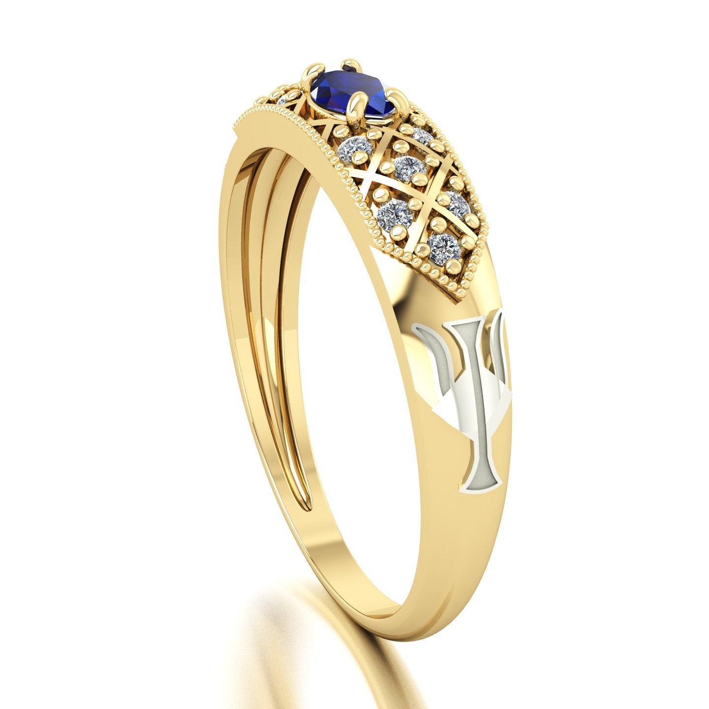 Anel de Formatura de Recursos Humanos Classic Ouro 18k