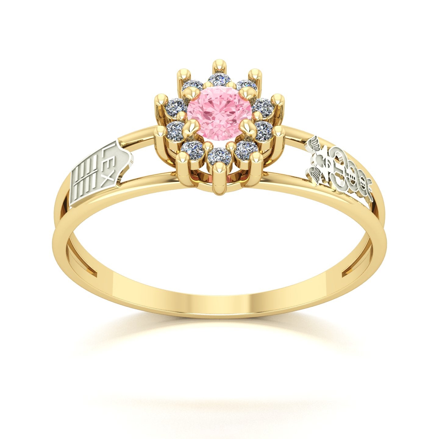 Anel de Formatura Ciências Contábeis Crown Ouro 18k