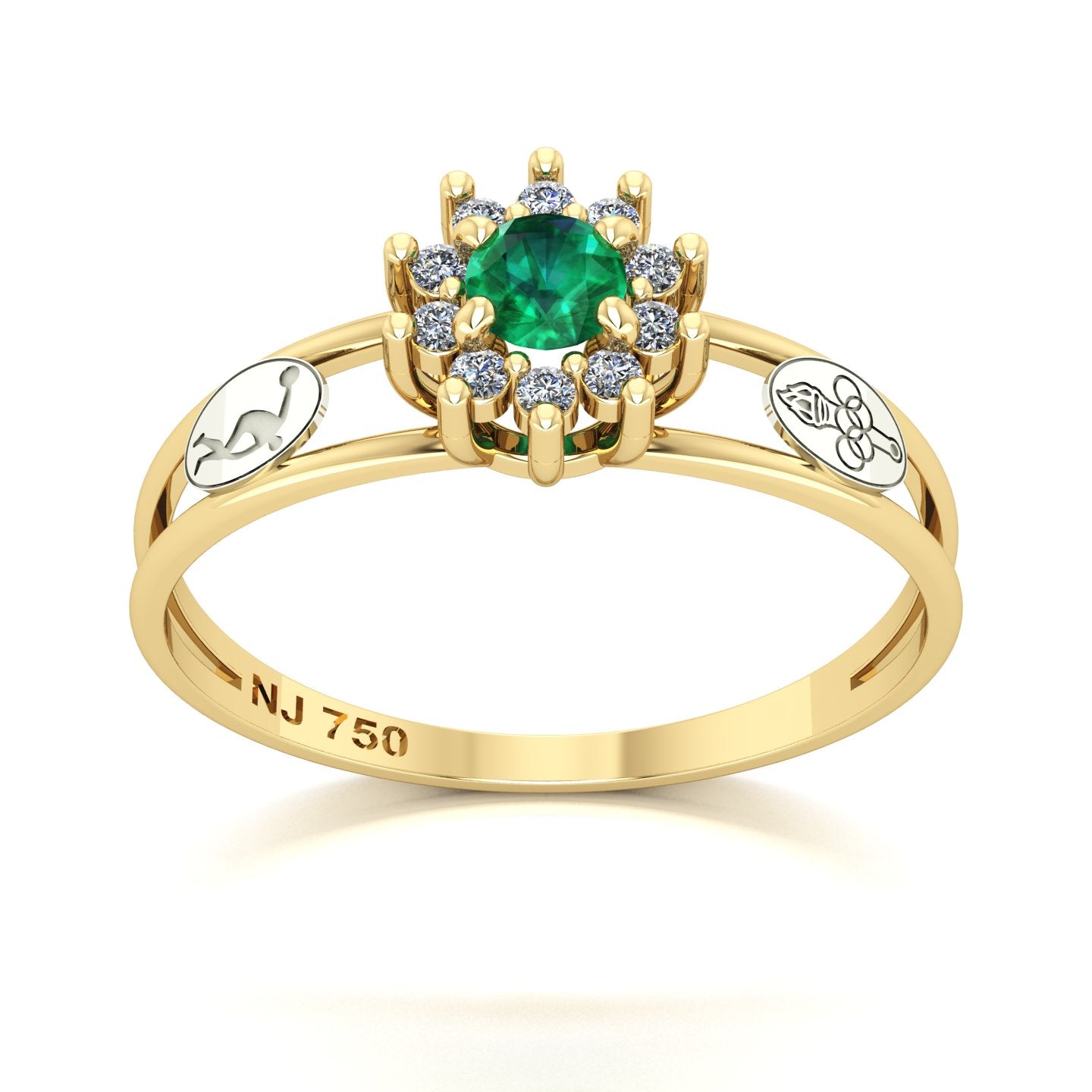 Anel de Formatura Ed. Física Crown Ouro 18k