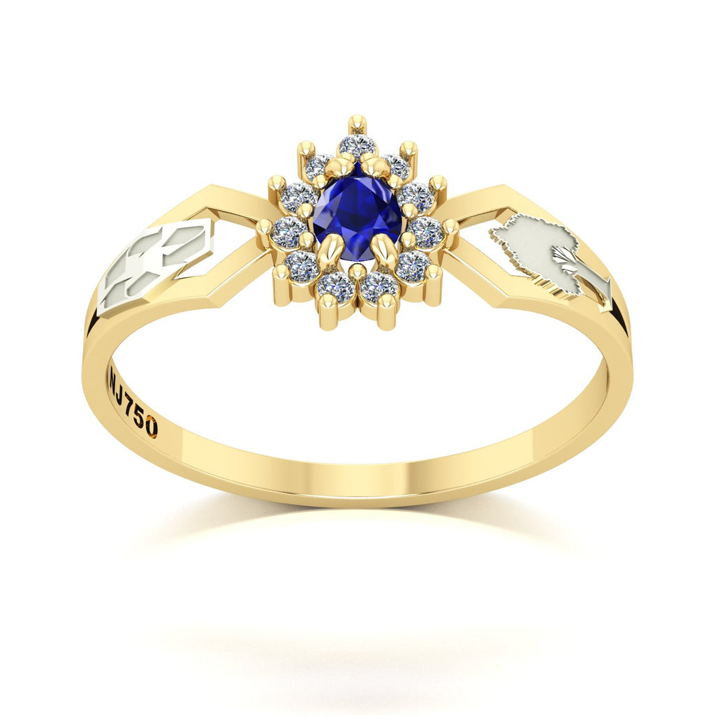 Anel de Formatura de Engenharia Ambiental Lovely III Ouro 18k