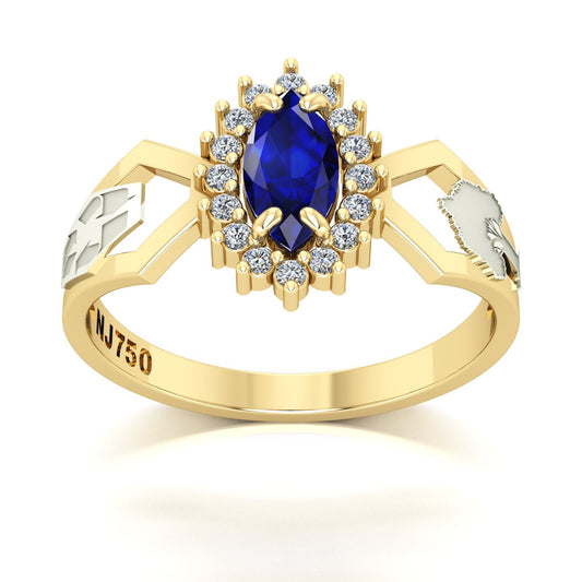 Anel de Formatura de Engenharia Ambiental Lovely V Ouro 18k
