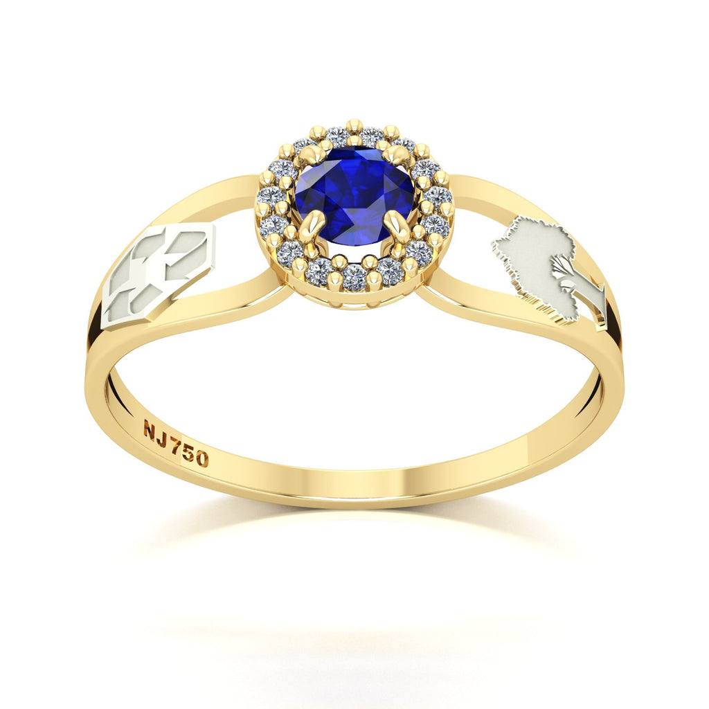 Anel de Formatura de Engenharia Ambiental Shiny Ouro 18k
