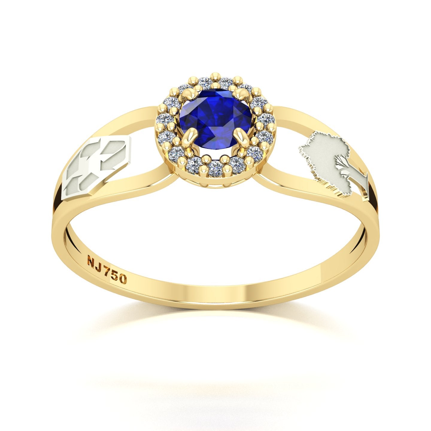 Anel de Formatura de Engenharia Ambiental Shiny Ouro 18k