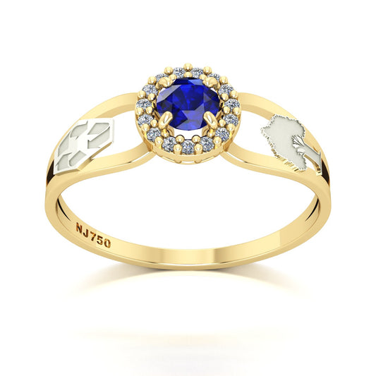 Anel de Formatura de Engenharia Ambiental Shiny Ouro 18k