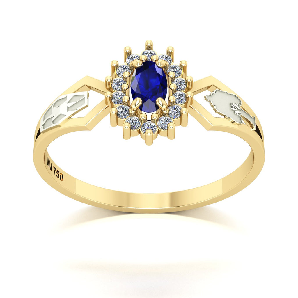 Anel de Formatura de Engenharia Ambiental Lovely IV Ouro 18k