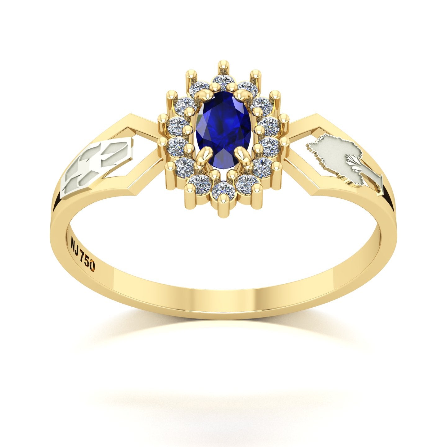 Anel de Formatura de Engenharia Ambiental Lovely IV Ouro 18k