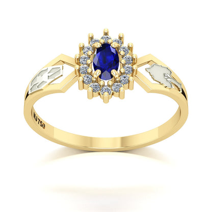 Anel de Formatura de Engenharia Ambiental Lovely IV Ouro 18k