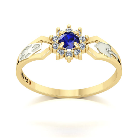 Anel de Formatura de Engenharia Ambiental Lovely II Ouro 18k