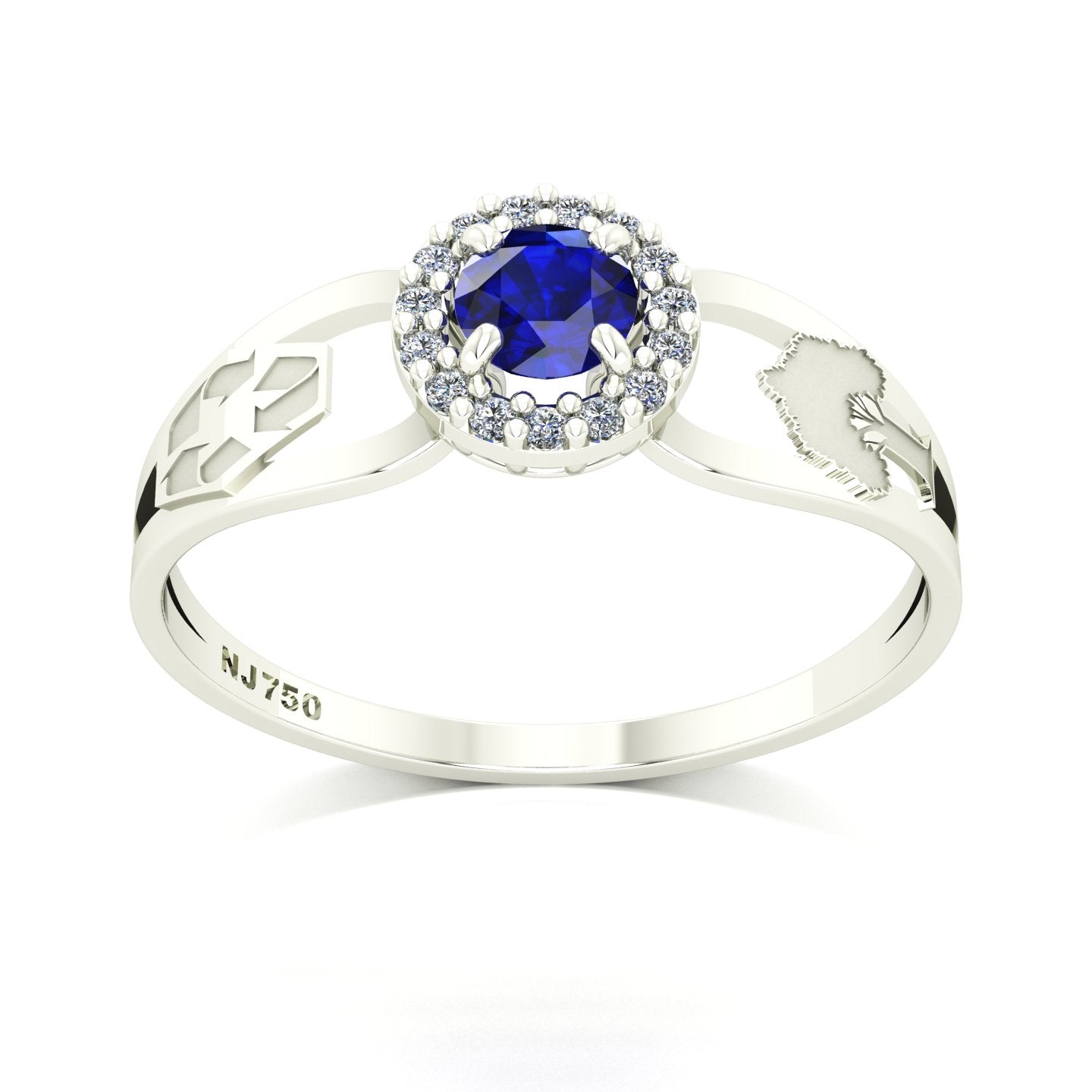 Anel de Formatura de Engenharia Ambiental Shiny Ouro 18k