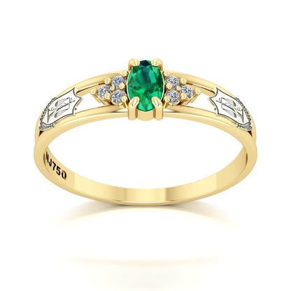 Anel de Formatura de Nutrição Eternus III Ouro 18k