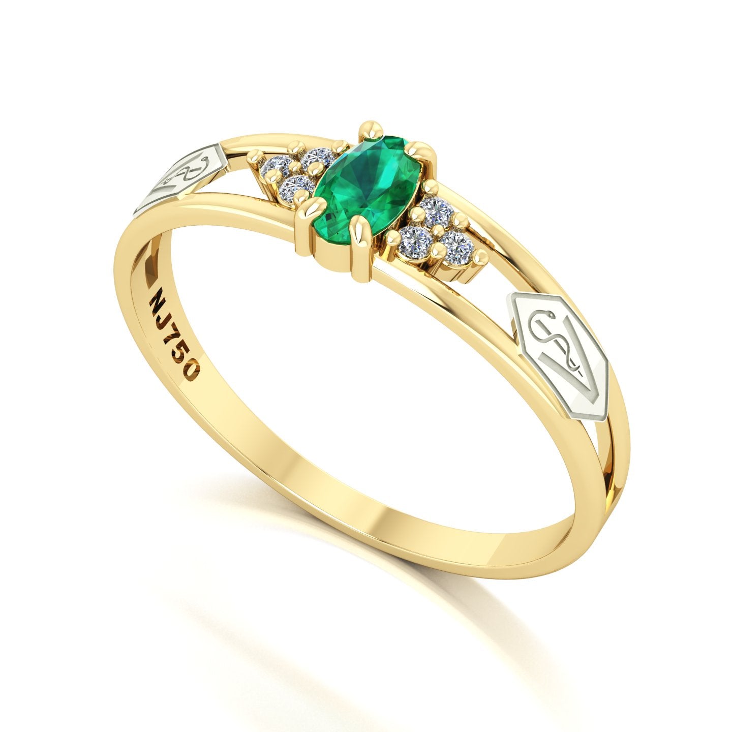 Anel de Formatura de Medicina Veterinária Eternus III Ouro 18k