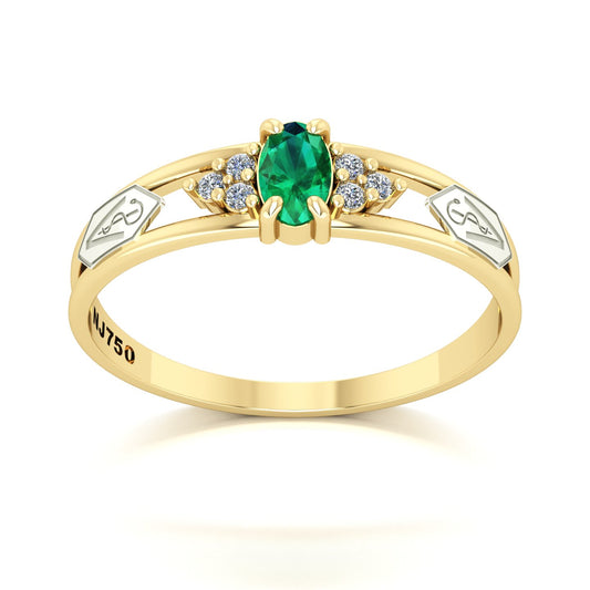 Anel de Formatura de Medicina Veterinária Eternus III Ouro 18k