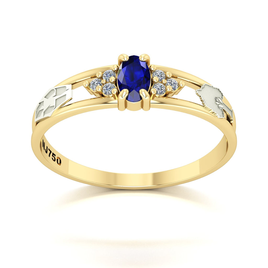 Anel de Formatura de Engenharia Ambiental Eternus III Ouro 18k
