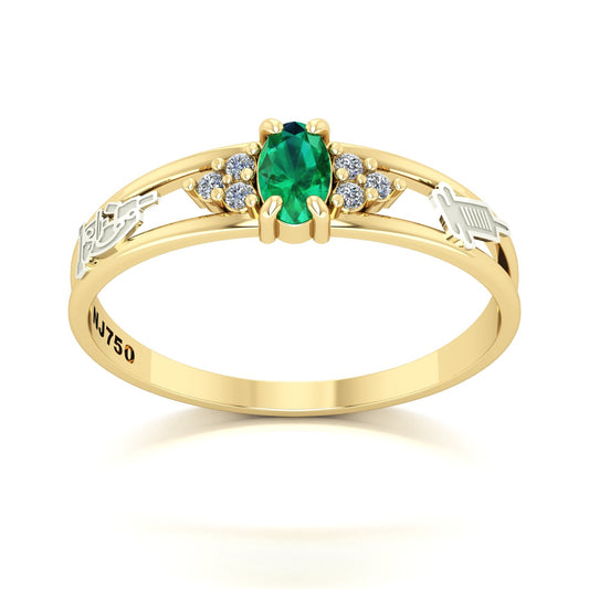 Anel de Formatura de Biomedicina Eternus III Ouro 18k