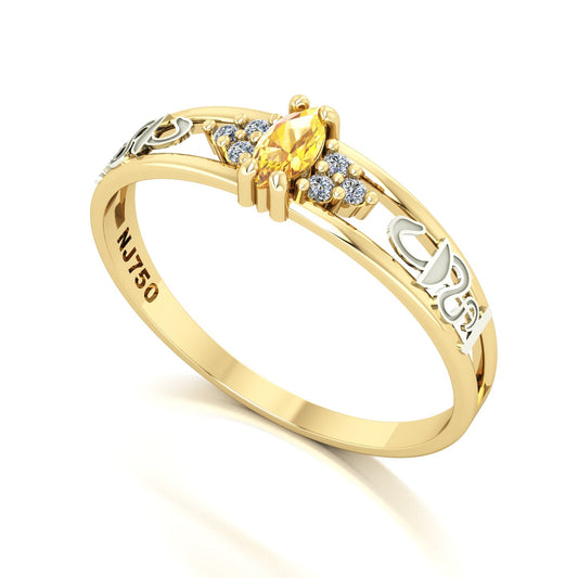 Anel de Formatura de Farmácia Eternus II Ouro 18k