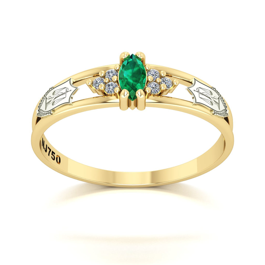 Anel de Formatura de Nutrição Eternus II Ouro 18k