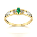 Anel de Formatura de Nutrição Eternus II Ouro 18k