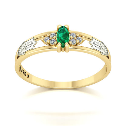 Anel de Formatura de Nutrição Eternus II Ouro 18k