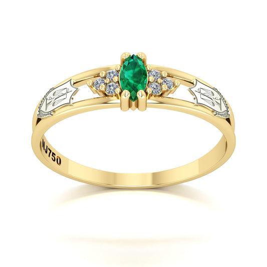 Anel de Formatura de Nutrição Eternus II Ouro 18k
