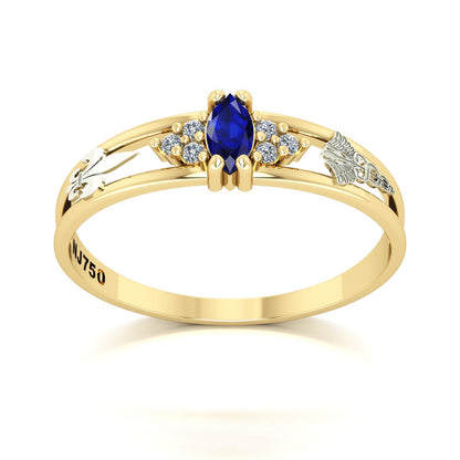 Anel de Formatura de Pedagogia Eternus II Ouro 18k