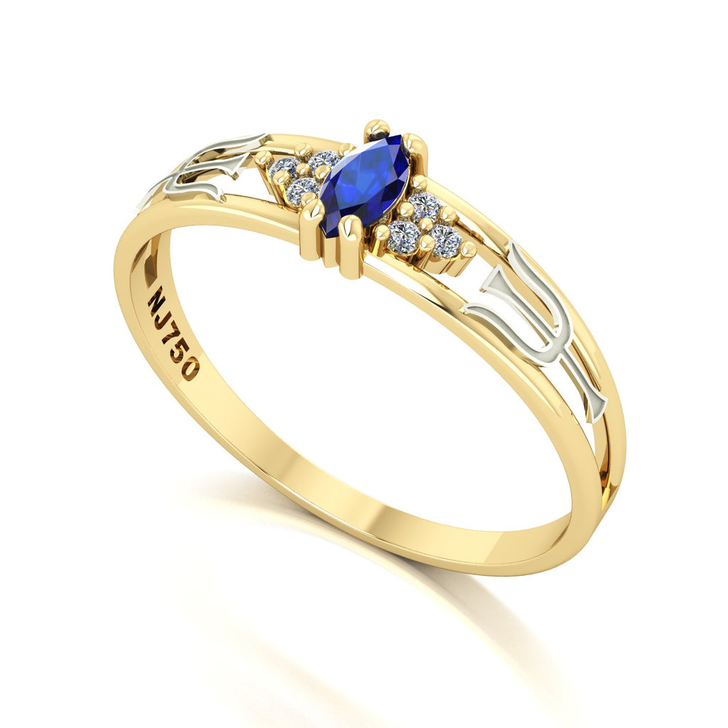 Anel de Formatura de Psicologia Eternus II Ouro 18k
