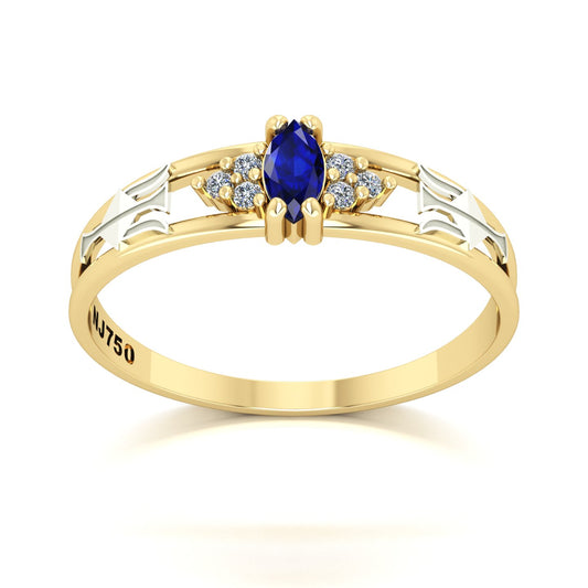 Anel de Formatura de Recursos Humanos Eternus II Ouro 18k