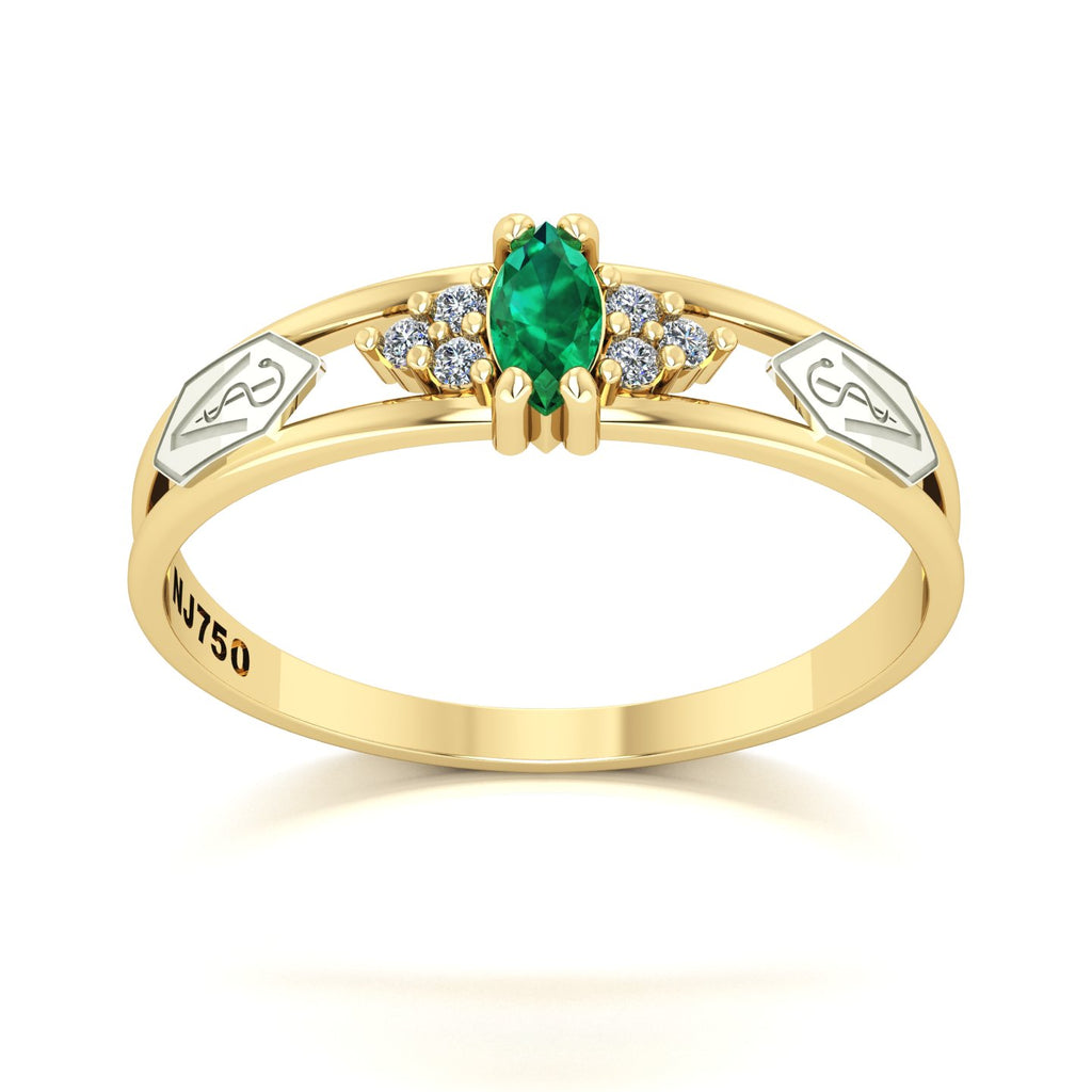 Anel de Formatura de Medicina Veterinária Eternus II Ouro 18k