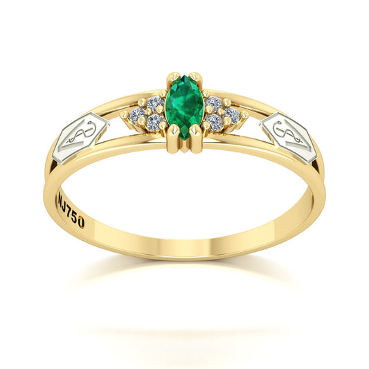 Anel de Formatura de Medicina Veterinária Eternus II Ouro 18k