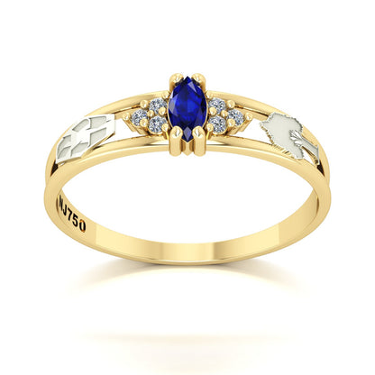 Anel de Formatura de Engenharia Ambiental Eternus II Ouro 18k