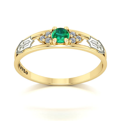 Anel de Formatura de Nutrição Eternus IV Ouro 18k