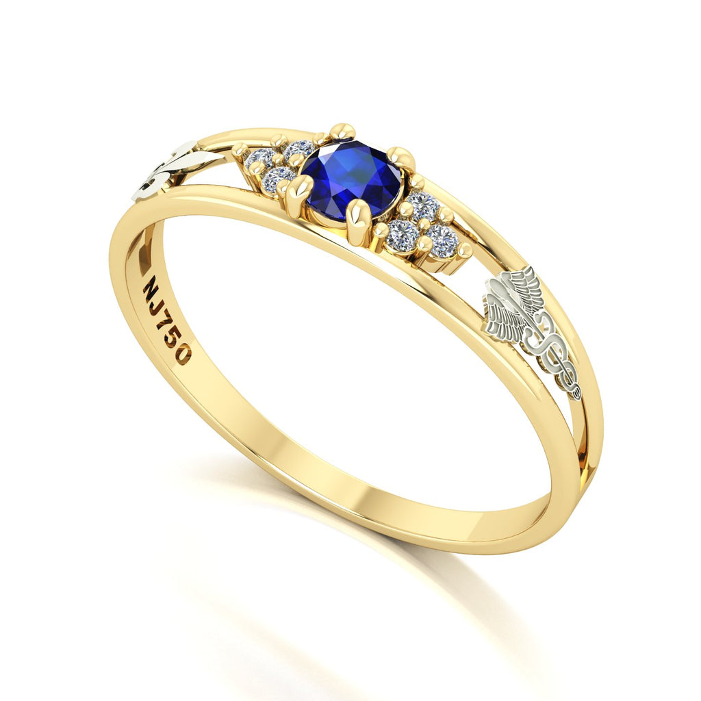 Anel de Formatura de Pedagogia Eternus IV Ouro 18k