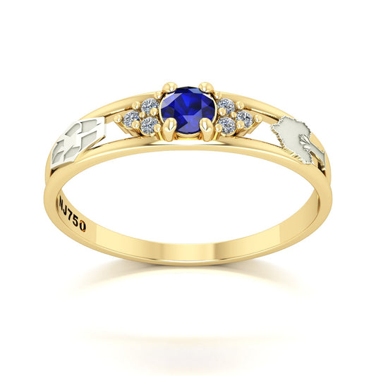 Anel de Formatura de Engenharia Ambiental Eternus IV Ouro 18k